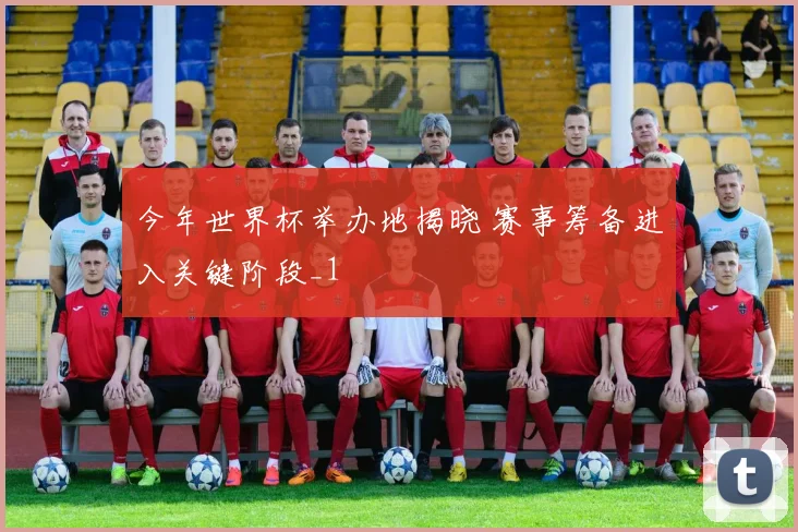 今年世界杯举办地揭晓 赛事筹备进入关键阶段_1