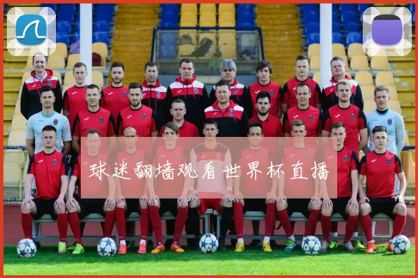 球迷翻墙观看世界杯直播