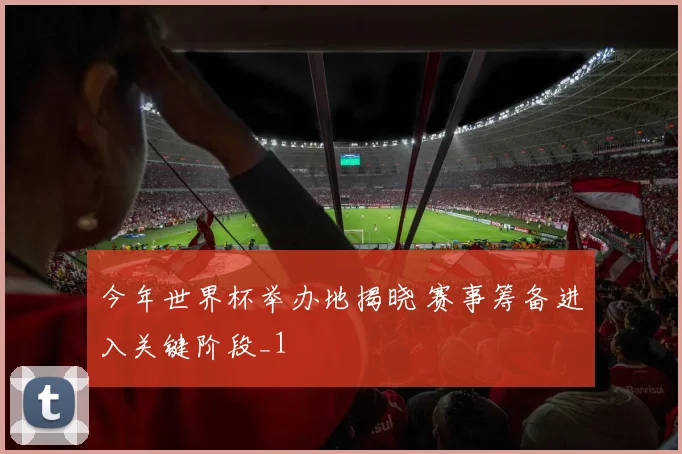 今年世界杯举办地揭晓 赛事筹备进入关键阶段_1